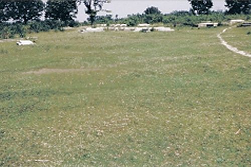 Bild 2 - Das Friedhofsgelände mit den restlichen Grüften (im Jahr 1966).