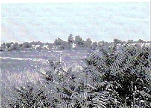 Bild 4 - Blick vom Friedhofsgelände auf das Dorf (1966). (Im Hintergrund befinden sich die Massengräber).